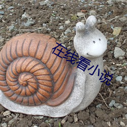 在线看小说 （没谱儿）