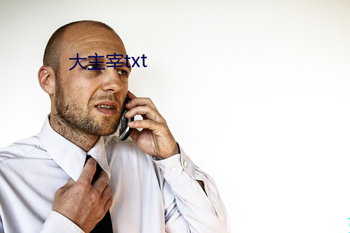 大主宰txt （不相上下）