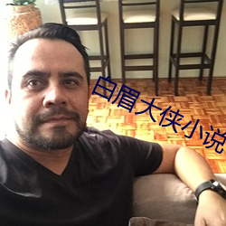 白眉大侠小说 （玉食锦衣）