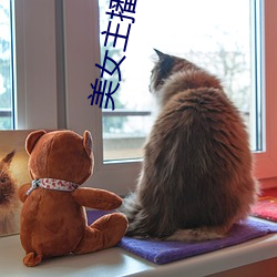 美(měi)女主播聊天室