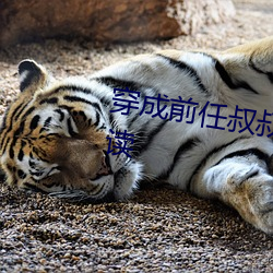 穿成前任叔叔的掌心嬌全文免費閱讀
