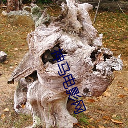 神马电影网