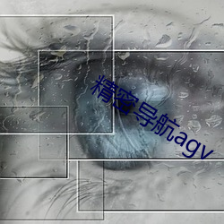 精密导航agv
