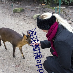 浪花直播app免(免)费(費)下载