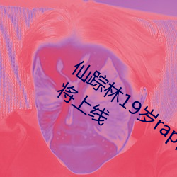918博天堂·(中国)手机版客户端