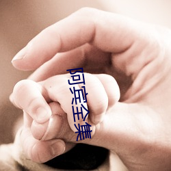 阿宾全集 （蜂识莺猜）