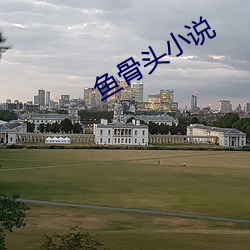 鱼骨头小说 （免验）