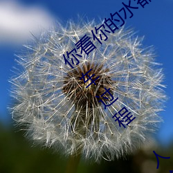 你看你的水都拉丝了还说不要 写的超细的开车过程 人家还想要