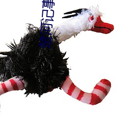 楚(chǔ)河记事