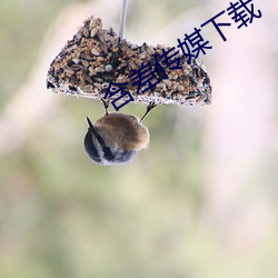 九游会登录j9入口 - 中国官方网站 | 真人游戏第一品牌