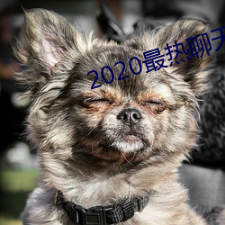 2020最(最)热(熱)聊(聊)天(天)软件