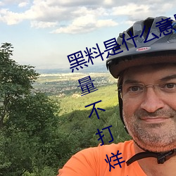 黑料是什么意思网络用语(黑料正能量不打烊是什么玩意儿)