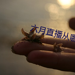 六月直播從哪裏下載