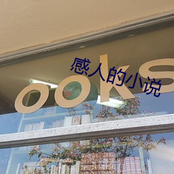 感人的小說