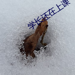 學長還在上課