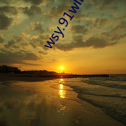 wsy.91wllm.com