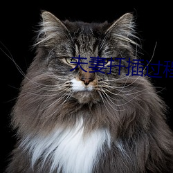 夫妻扦插过程