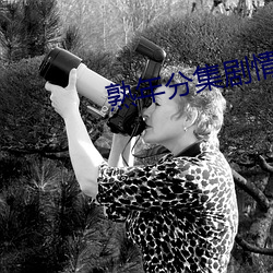 熟(shú)年分集剧(jù)情介绍
