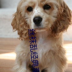 絲襪亂經典系列