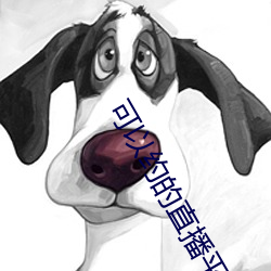 可以約的直播平台