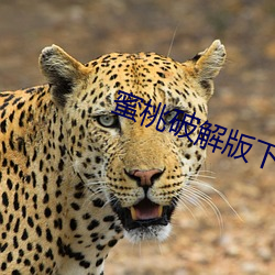 918博天堂·(中国)手机版客户端