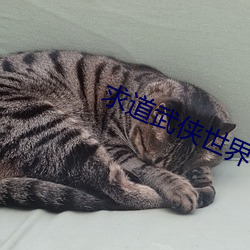 米乐M6·(中国)官方网站