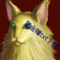 黃金瞳txt下載