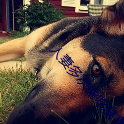 人妻(妻)多次(次)偷吃健(健)身(身)教练(練)被抓(抓)