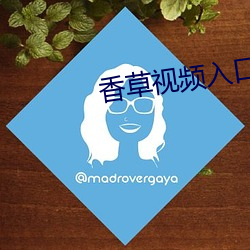 香草视频入口