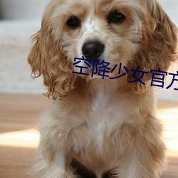 918博天堂·(中国)手机版客户端