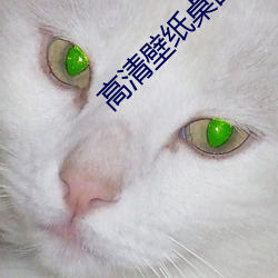 高(gāo)清壁(bì)纸桌面