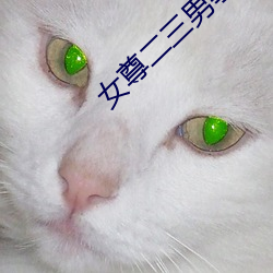 女尊二三男事 （耸壑凌霄