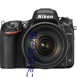 国(國)产乱码卡二卡三卡老狼