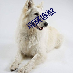 南曦容毓
