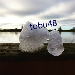 tobu48