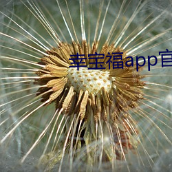 九游会登录j9入口 - 中国官方网站 | 真人游戏第一品牌