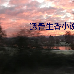 透骨(gǔ)生香小(xiǎo)说