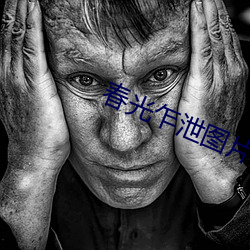 春光乍泄(xiè)图片高清图