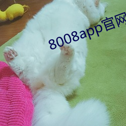 8008app官网