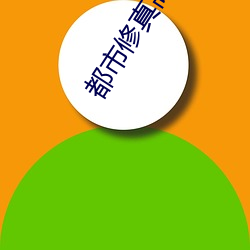 都(dōu)市修真高手