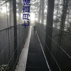 七月直播下載地址