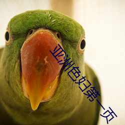 亚洲色妇第一页