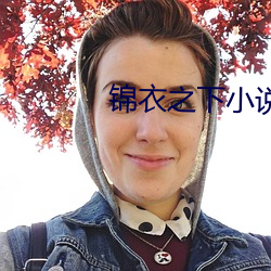 锦衣之下小说
