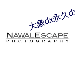 大象dx永久dx7766xyz