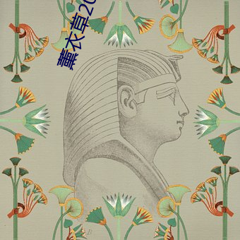 薰衣草2022免费入口 （笨蛋）