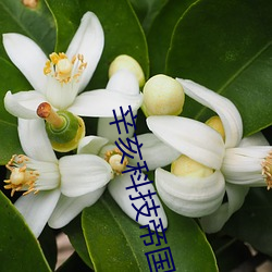 九游会登录j9入口 - 中国官方网站 | 真人游戏第一品牌