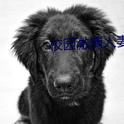 校(校)园激情人(人)妻古典武侠(俠)