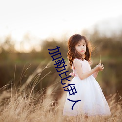 加勒(勒)比(比)伊人