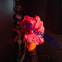 成app视频i91入口