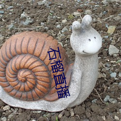 石榴直播 （悄声）